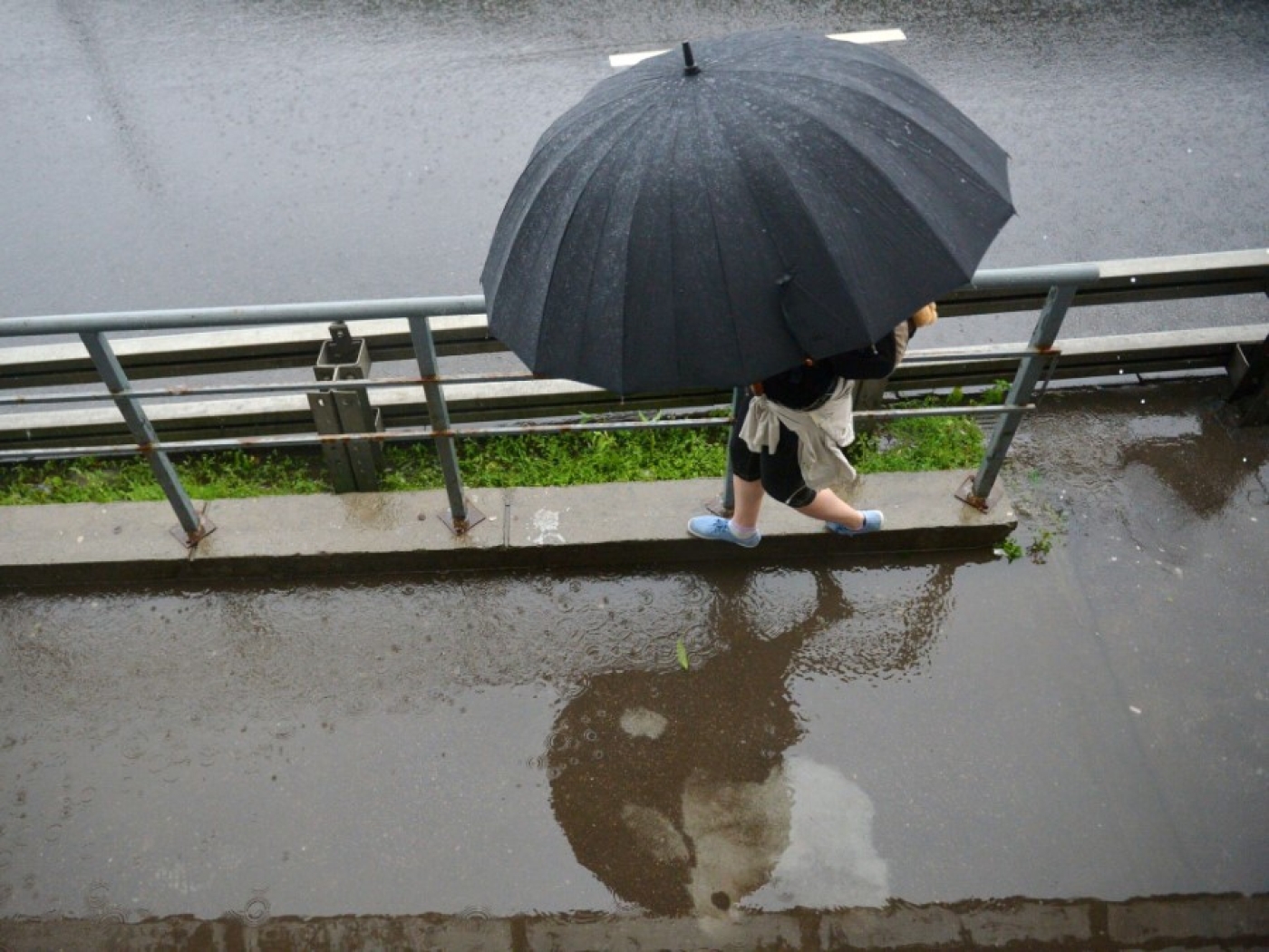 Кратковременные дожди, грозы и до +29°С будет сегодня в Беларуси