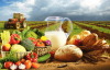 О производстве и реализации сельскохозяйственной продукции в 2022 году