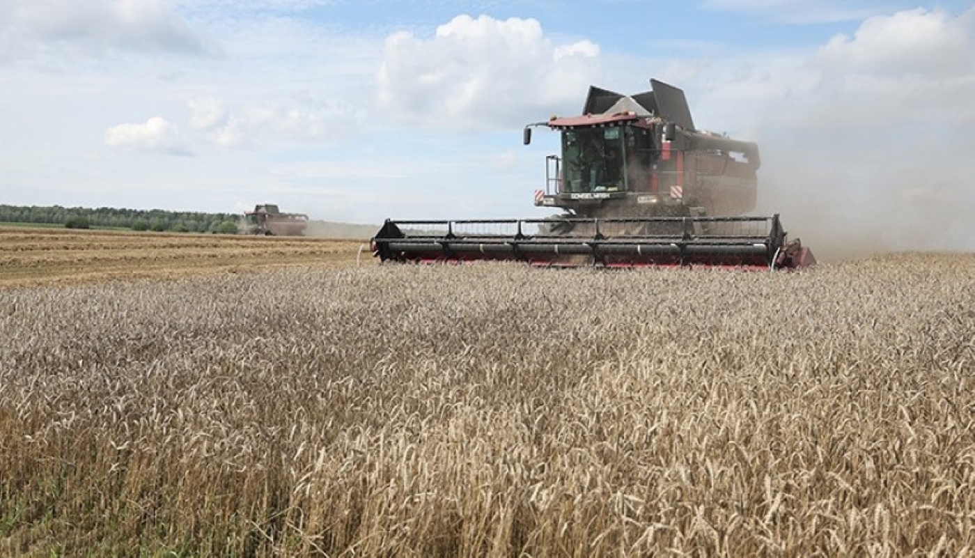 Белорусские аграрии намолотили 8 млн тонн зерна