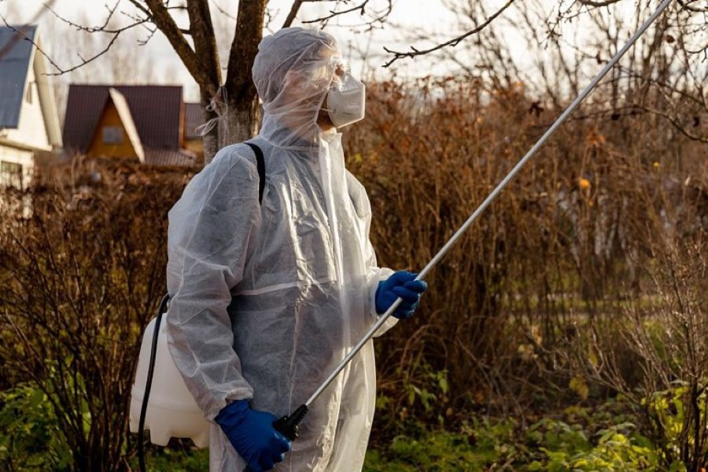 Как уберечь садовые деревья от болезней в феврале – даем хороший совет