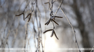Ночные морозы до -25°С ожидаются в Беларуси 7 января