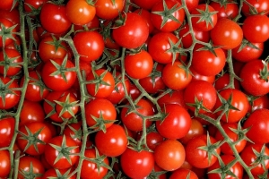 Томаты без фитофторы: с такой обработкой вкусные плоды гарантированы