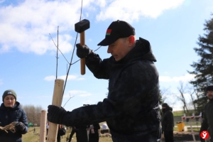 Турчин и Кушнаренко высаживают деревья и кустарники на «Кургане Славы»