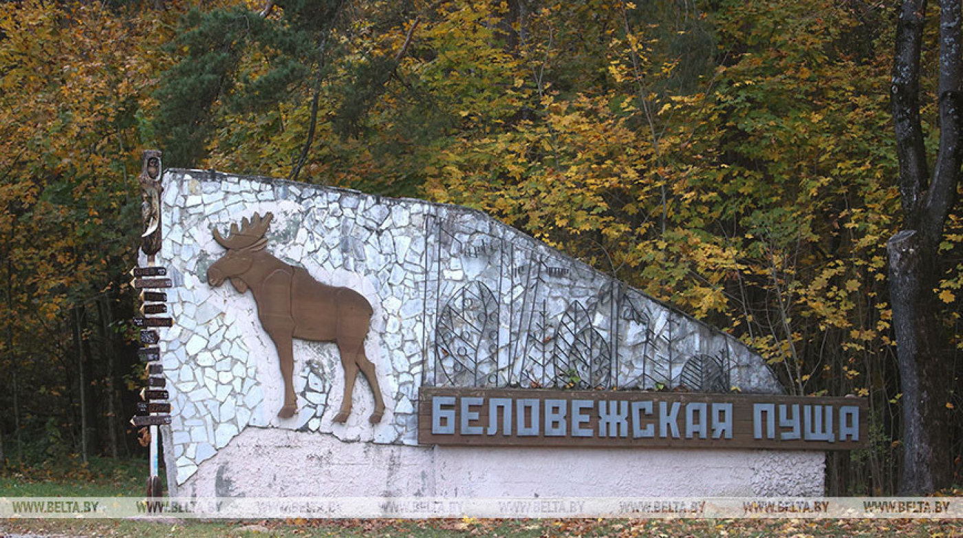 В Беловежской пуще рассказали о подготовке к зимнему туристическому сезону