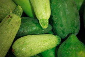 Кабачковый рай: чем подкормить, чтобы урожаем всю родню завалить