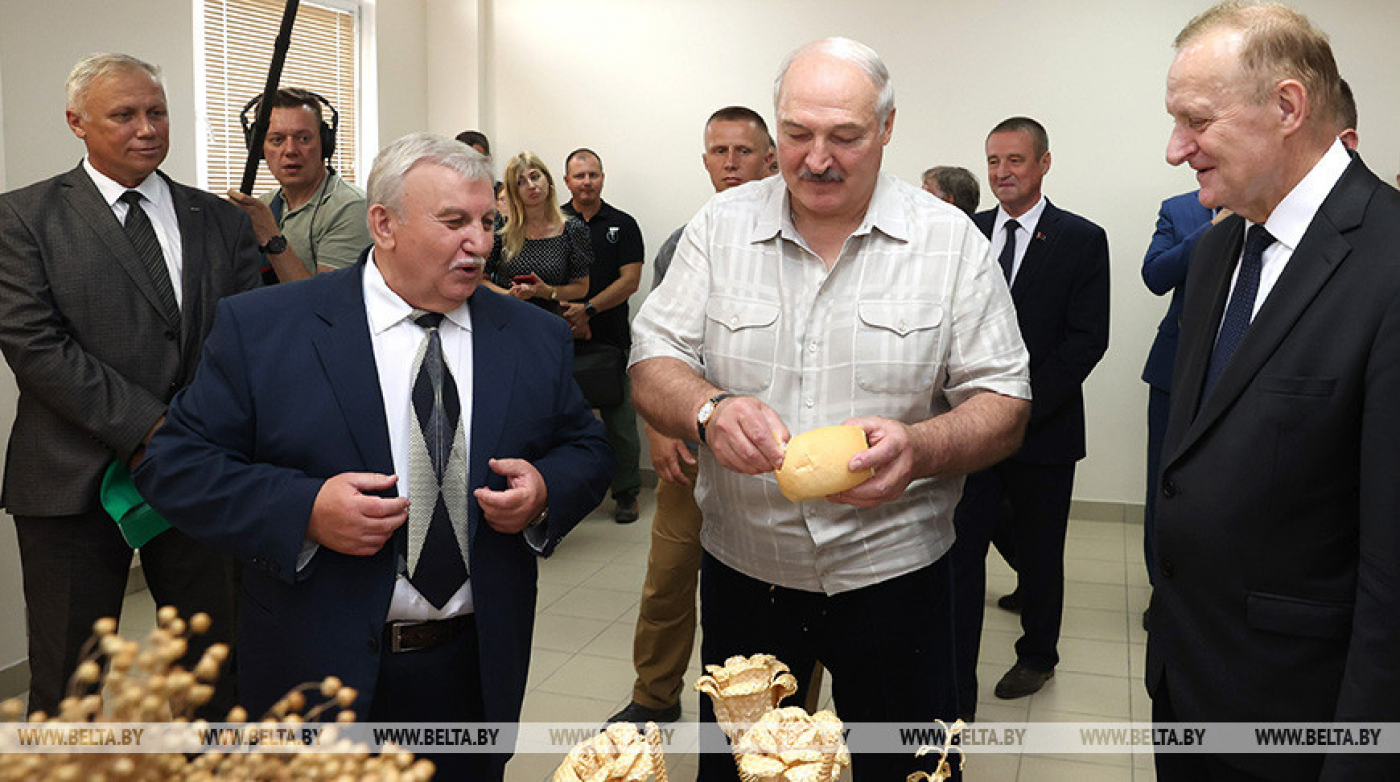 Обеспечит ли Беларусь свою продовольственную безопасность? Лукашенко потребовал включить &quot;полную диктатуру&quot;