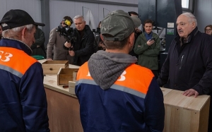 Лукашенко поручил тиражировать в Беларуси небольшие производства по переработке древесины