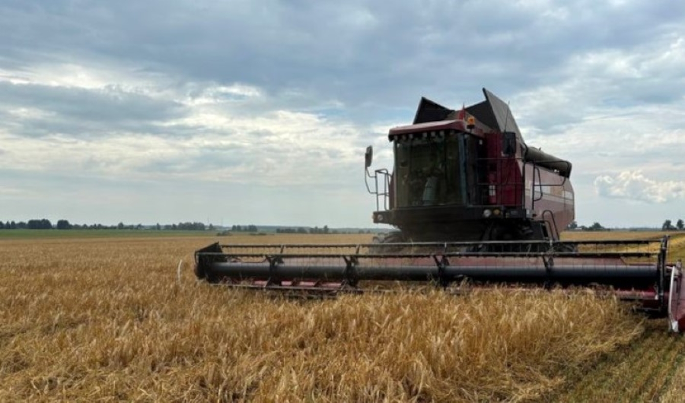 На уборке урожая задействованы 183 молодежных экипажа