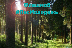 Егор Тихонов - мастер леса и участник флешмоба #ЛесМолодежь