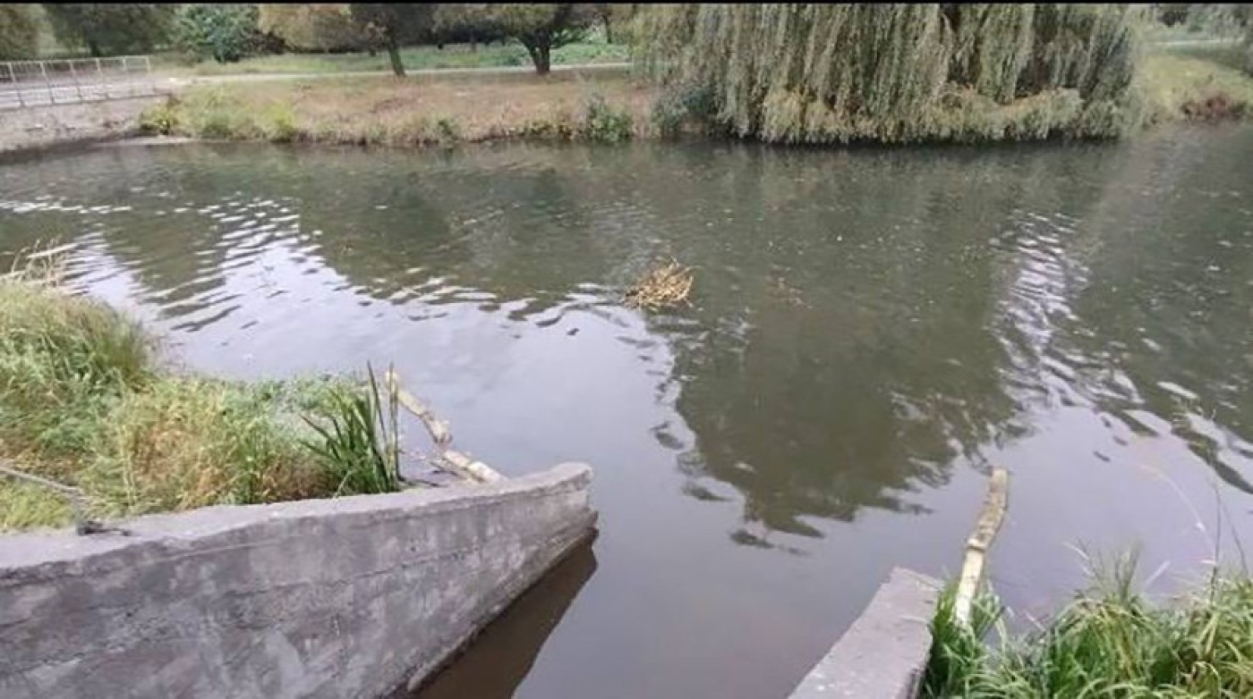 Минприроды прокомментировало ситуацию со сбросом загрязненных сточных вод в Свислочь