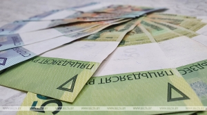 Средняя зарплата в Беларуси в ноябре составила Br1975,6