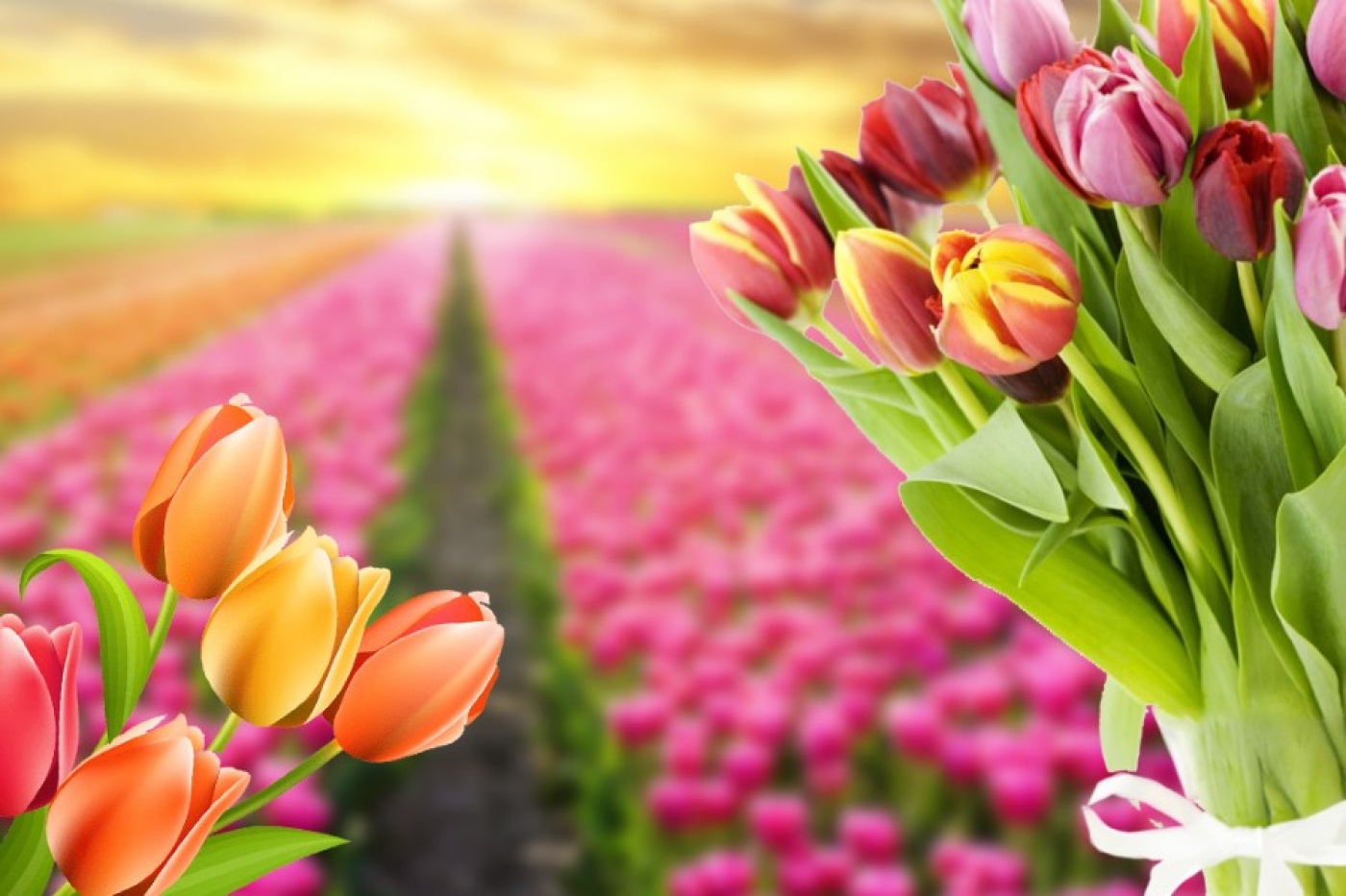 Поздравление Софии Петровне Стасевич от председателя Березинского райисполкома Андрея Соколовского