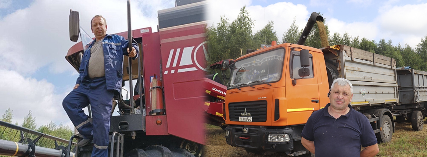 Пока нет дождя и светит солнце комбайнеры в поле