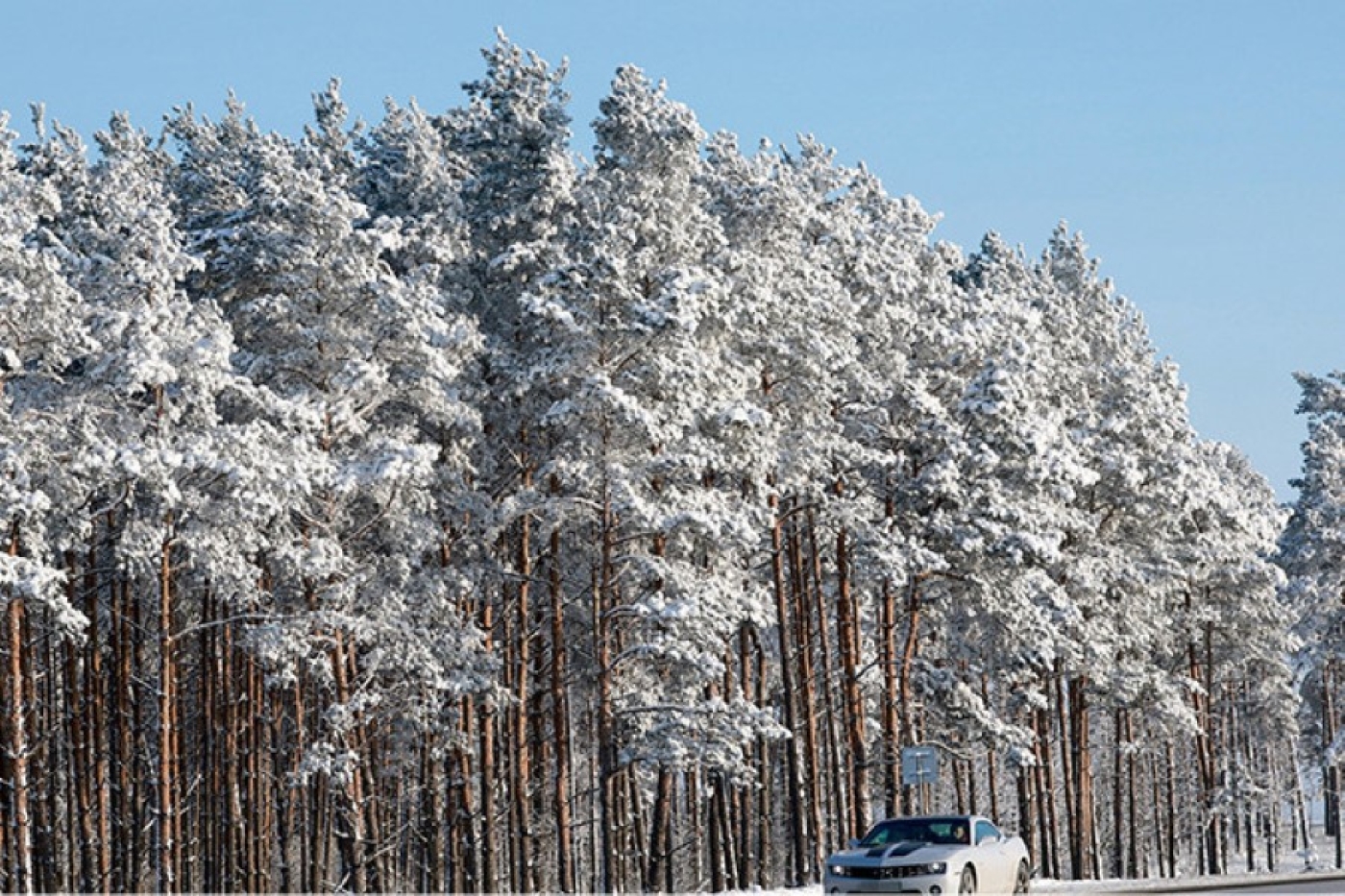 О специфике вождения в морозы напомнили автомобилистам в МВД