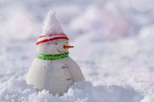 Мокрый снег и до +2°С прогнозируется сегодня в Беларуси