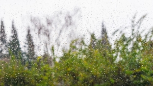 На 22 августа Белгидромет объявил оранжевый уровень опасности из-за сильных дождей