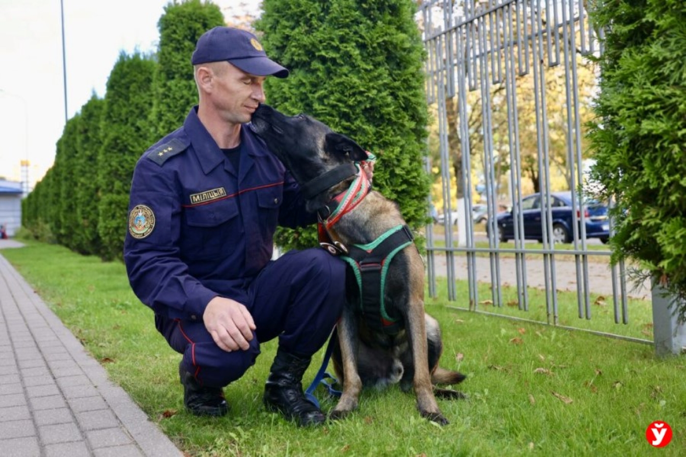 Лучший кинолог страны поделился секретами воспитания собаки