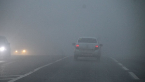 Правила поведения на дороге в дождь и туман