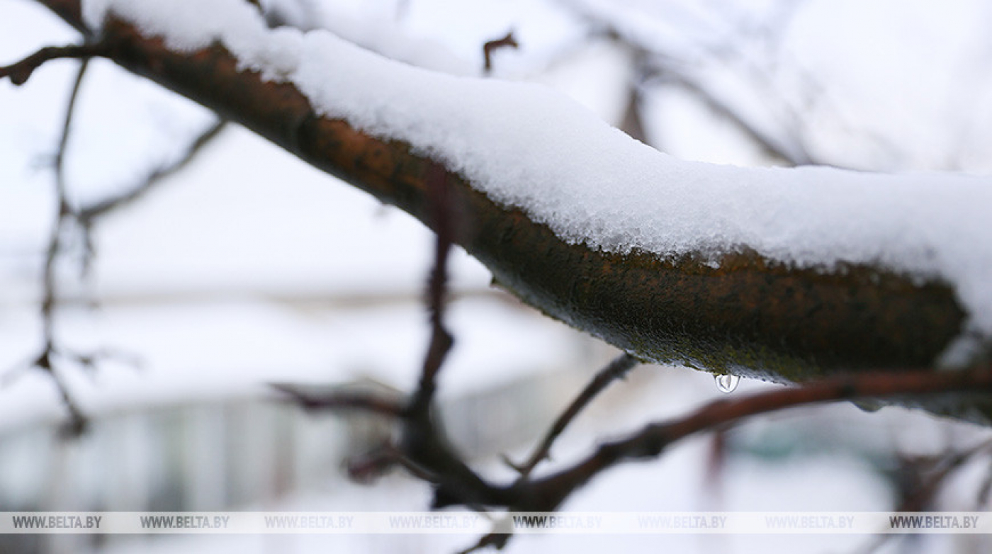 Мокрый снег, туман и гололедица. Какой погоды ждать в первые дни весны