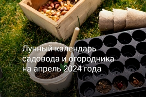 Календарь садовода и огородника на апрель 2024