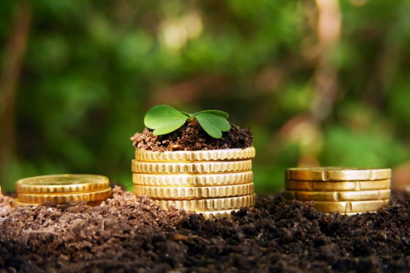 Об уплате авансовых платежей по земельному налогу