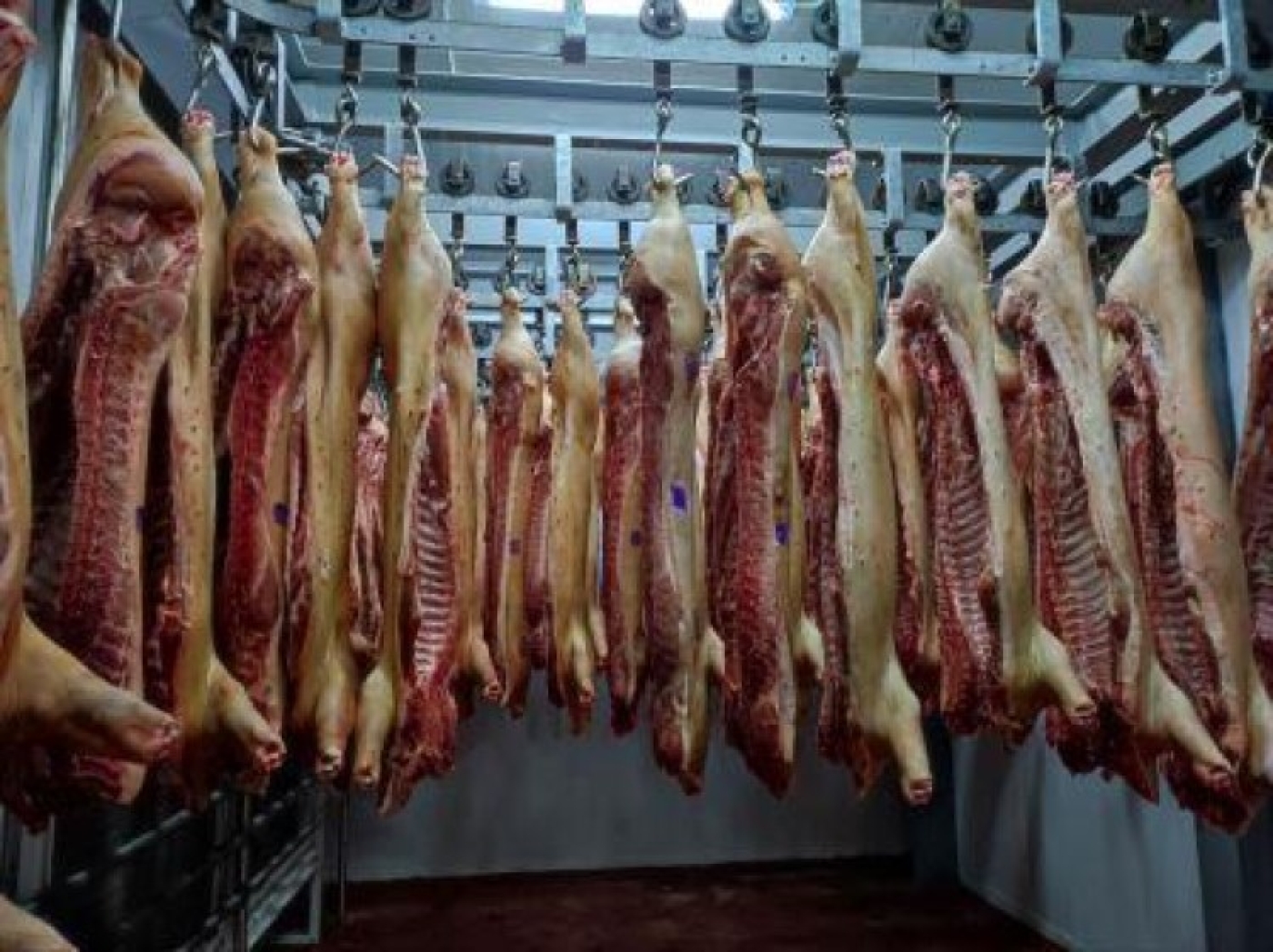 О результатах контроля за деятельностью субъектов хозяйствования, осуществляющих переработку мясного сырья