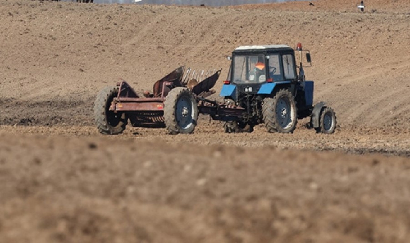 Лукашенко отвел неделю на завершение сева озимых в Беларуси