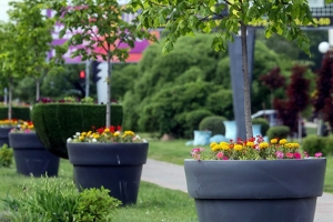 В Беларуси определили лучшие область, районы и населенные пункты по итогам Года благоустройства