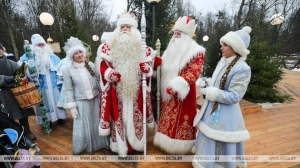 На юбилей резиденции белорусского Деда Мороза продолжают прибывать сказочные гости