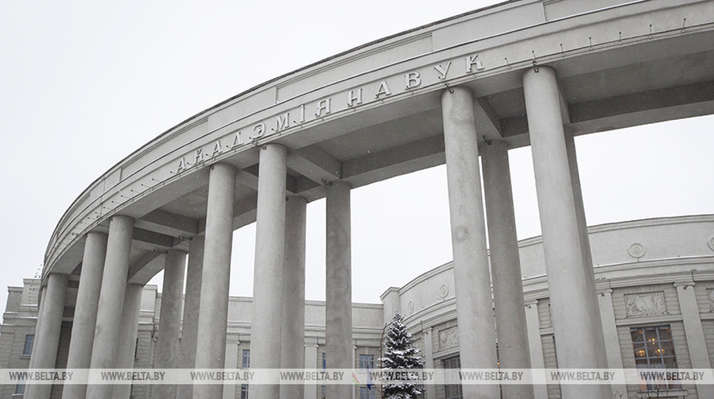 НАН Беларуси назвала лауреатов премий для молодых ученых 2023 года