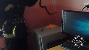 В Березино спасатели помогли ветеринарной станции избавиться от ужа