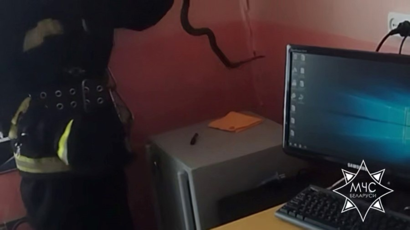 В Березино спасатели помогли ветеринарной станции избавиться от ужа