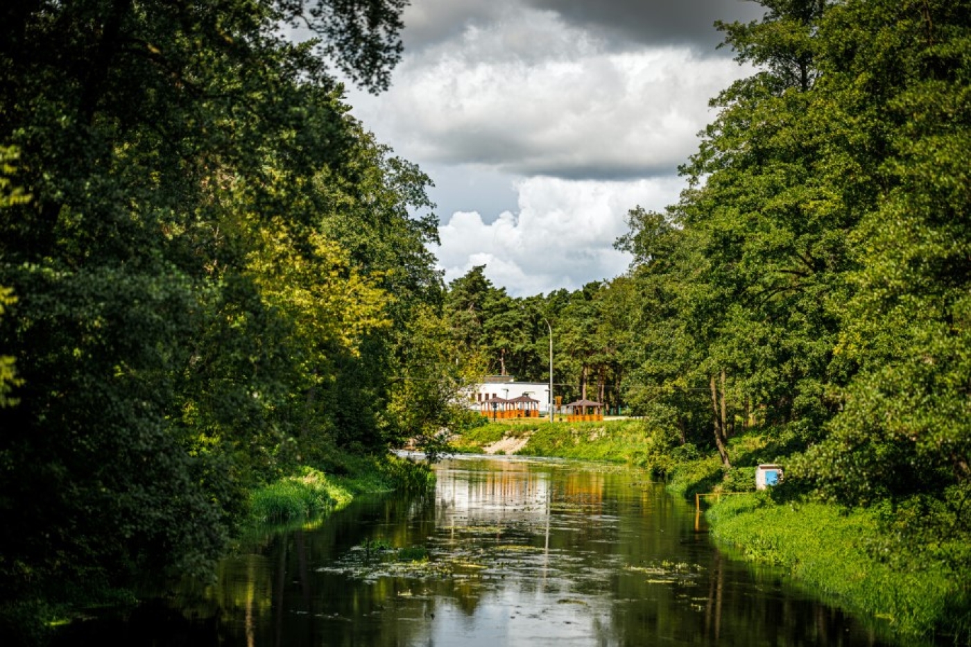 Погода в Беларуси 8 сентября: без осадков и до +26 °С