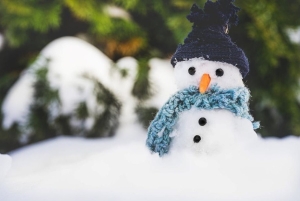 Снег и легкий мороз. Какой погоды ждать в Беларуси 4 февраля