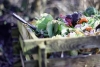 Компост – за месяц: быстро делаем суперфуд для овощных культур