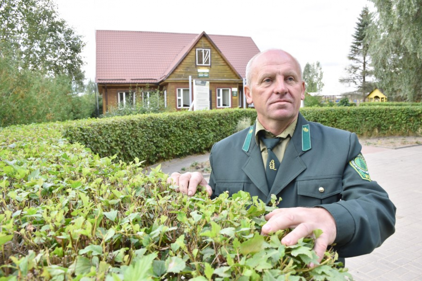 “У лесе з дзяцінства”