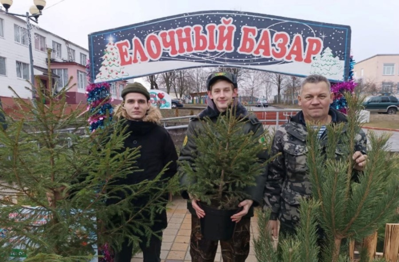 В Минской области откроется 216 площадок для реализации новогодних деревьев