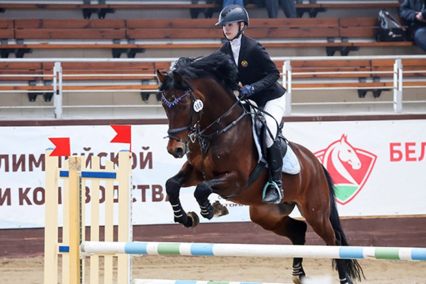 Чемпионат Беларуси по конному троеборью проходит в Ратомке