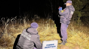 ГКСЭ: потерявшийся мальчик в Березинском районе утонул