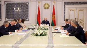 &quot;Обещали - надо выполнять&quot;. Будущее партий и гражданского общества стало темой совещания у Лукашенко