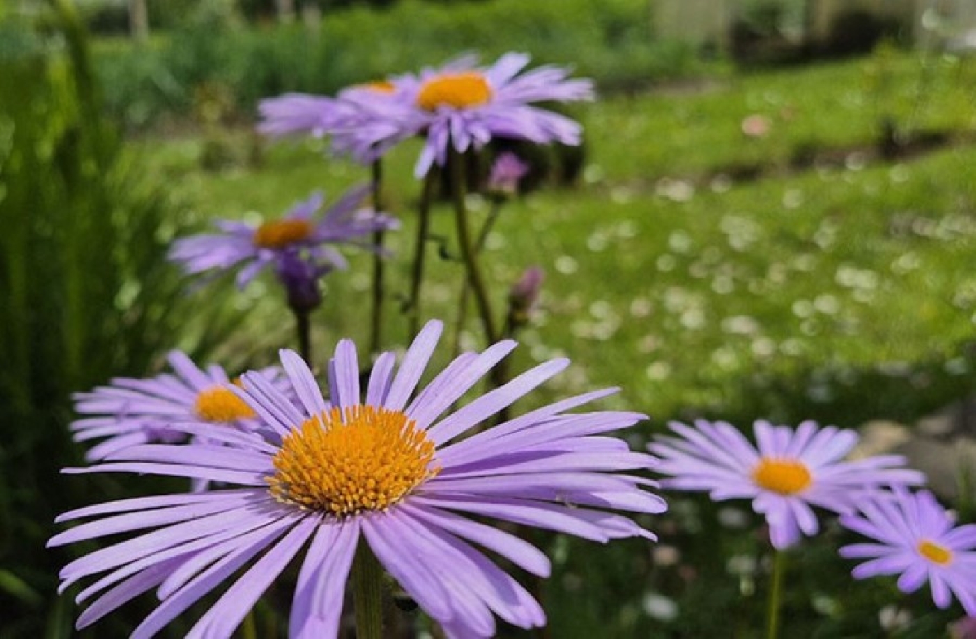 Тепло и дождливо будет сегодня в Беларуси