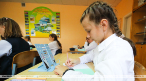 Как белорусы оценивают работу системы школьного образования: данные соцопроса