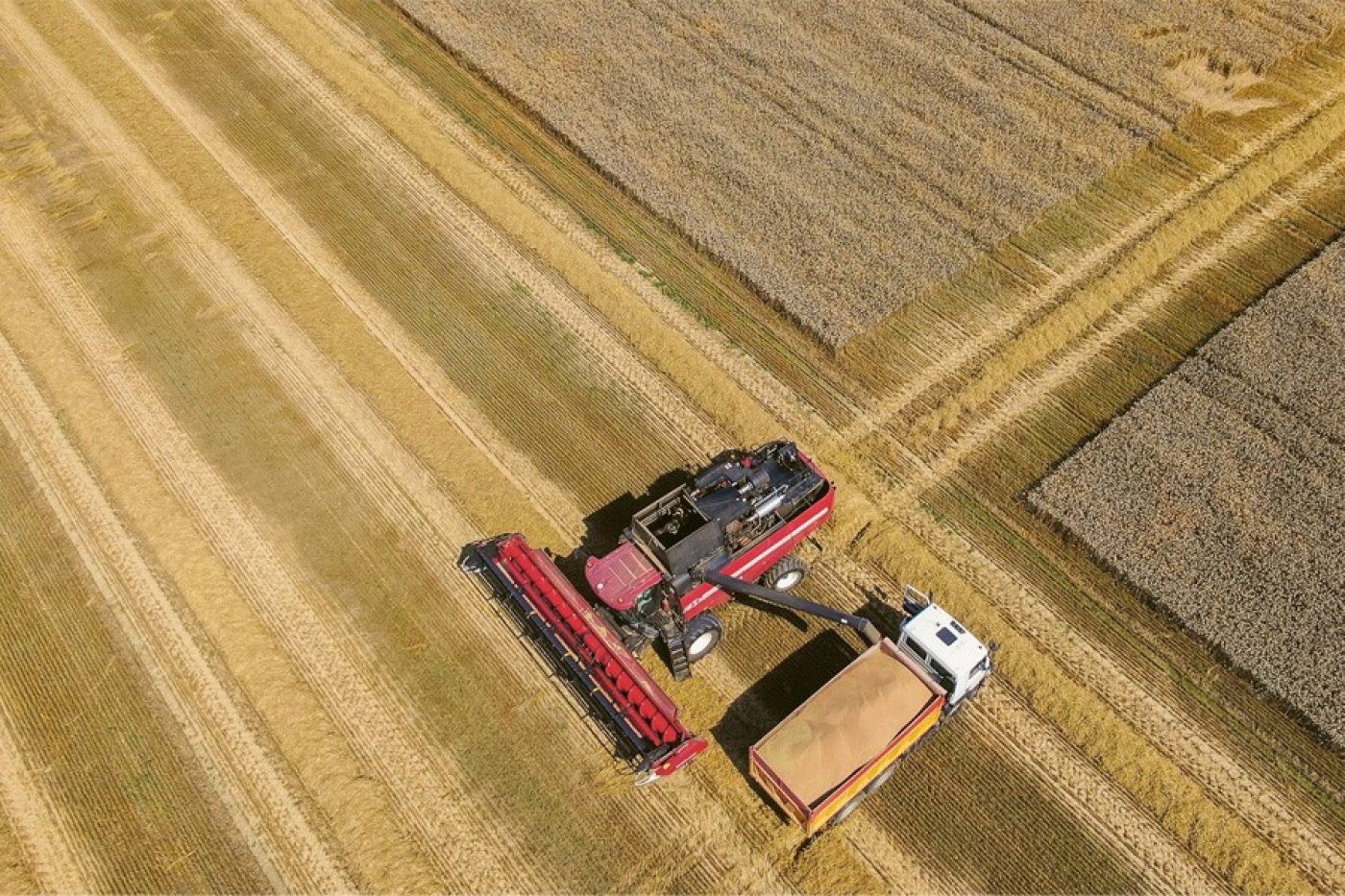 Эксперты о том, почему Беларусь всегда чтит своих аграриев, а на Западе превалируют интересы бизнеса