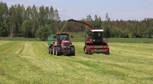 В Беларуси травы первого укоса скошены на более чем 1 млн га