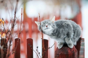 Прогноз погоды на 29 апреля: кратковременные осадки и от -5 °С до +11 °С