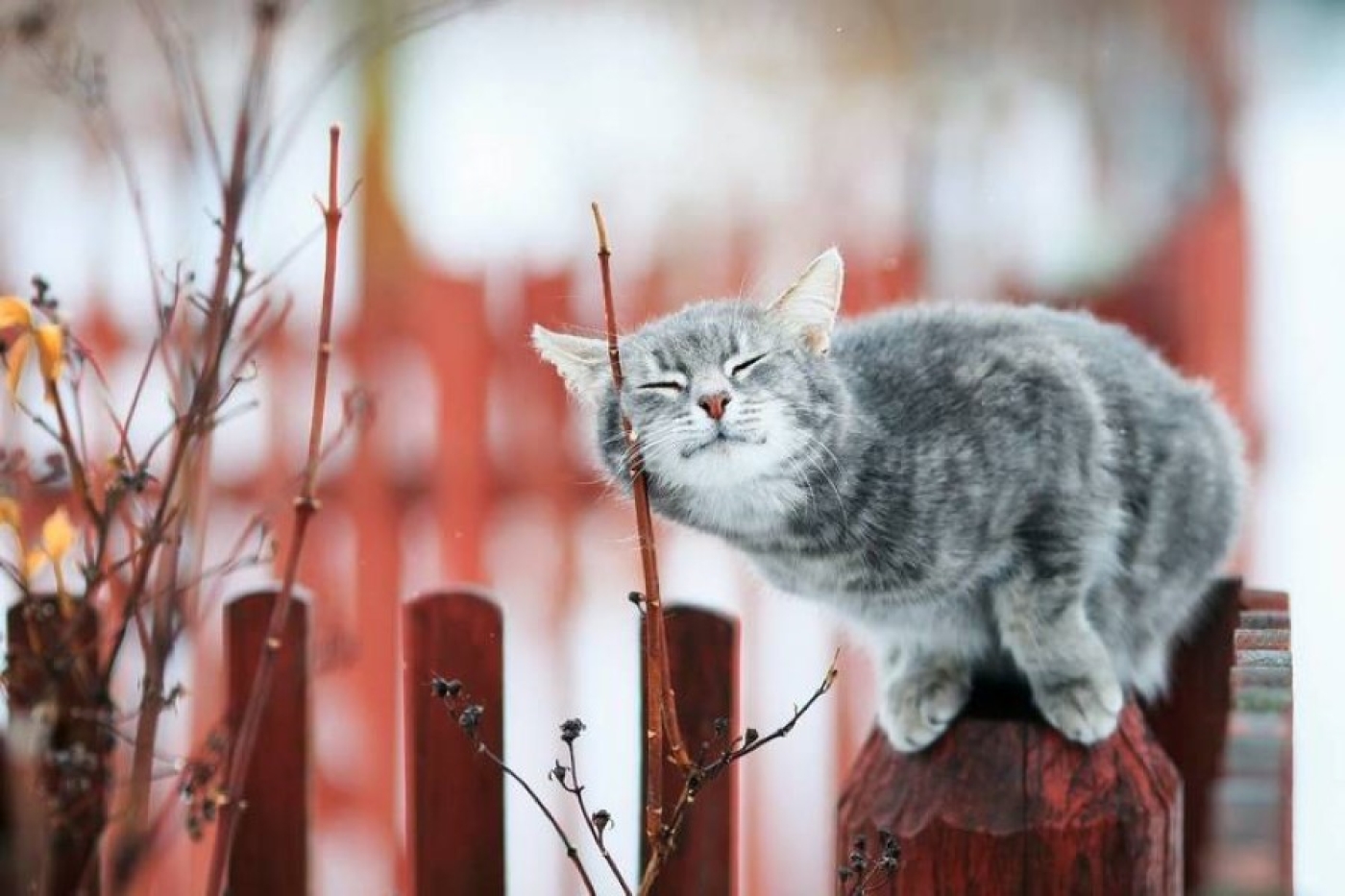 Прогноз погоды на 29 апреля: кратковременные осадки и от -5 °С до +11 °С