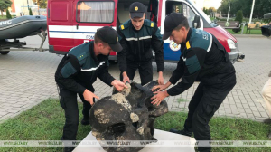 Белорусские водолазы нашли останки мамонта