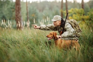 С 1 октября по 31 декабря в Минской области будет проводиться специальное комплексное мероприятие «Охота»
