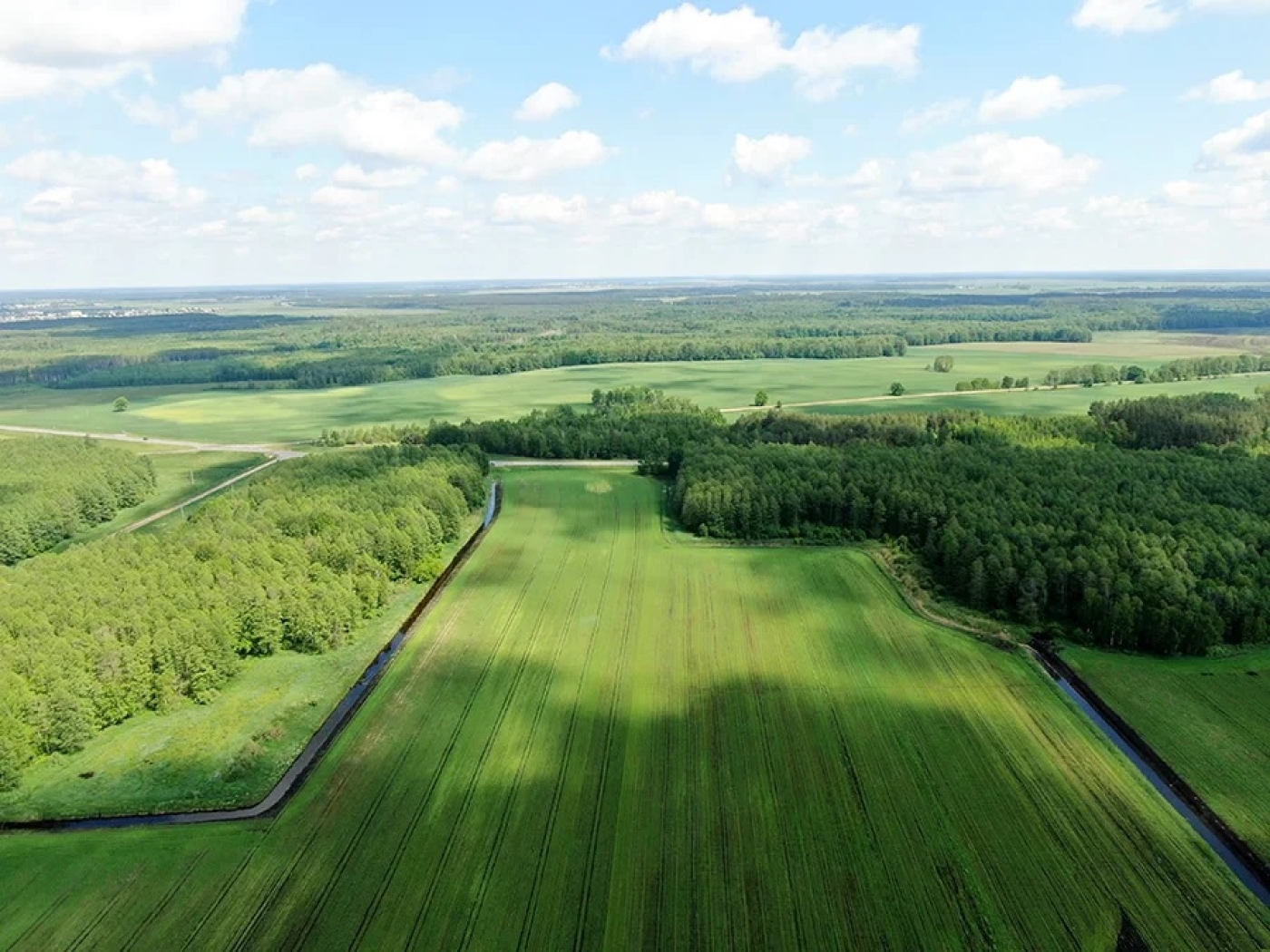 В Беларуси в 2024 году планируют ввести 110 тысяч гектаров мелиорированных земель