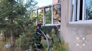 Супружеская пара погибла при пожаре в Колодищах